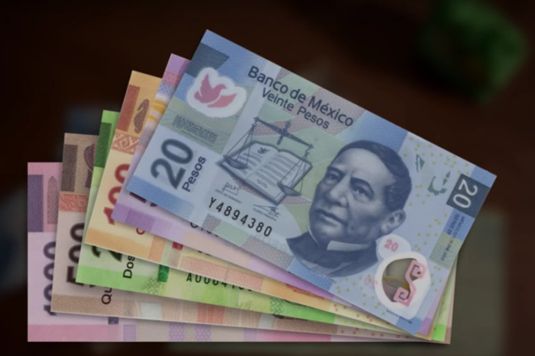 ¿Cuántas bacterias hay en un billete?