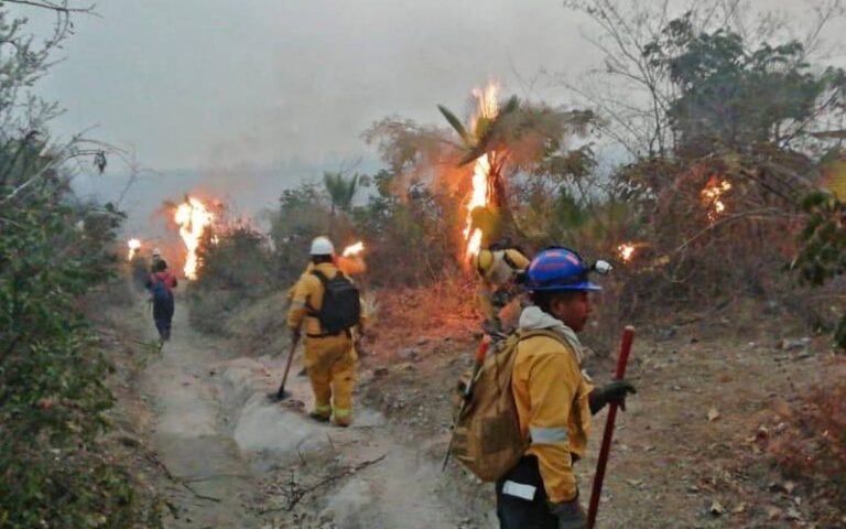 Suspenden clases en Acapulco y Chilpancingo debido a incendios forestales