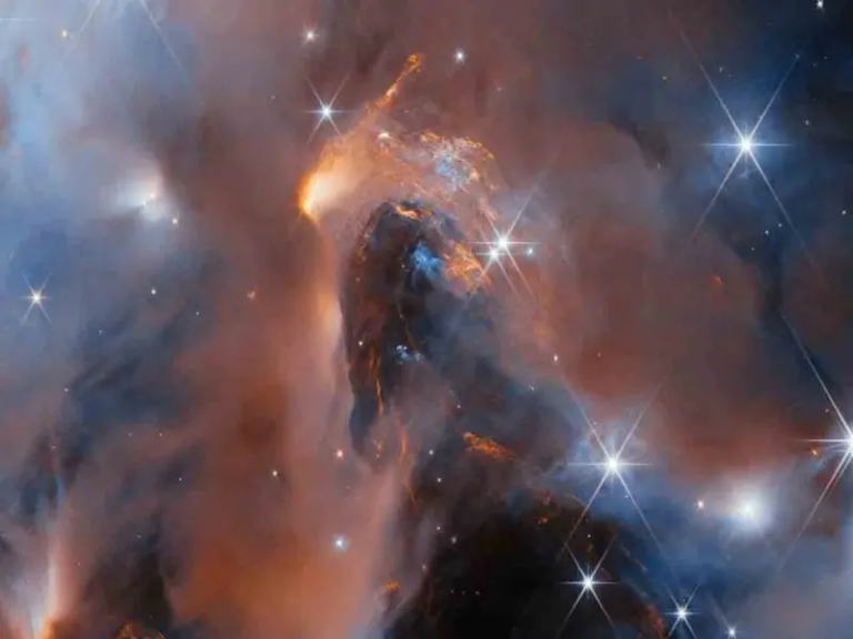 El James Webb capta imagen de una nebulosa con 6 planetas ‘rebeldes’ sin sistema solar
