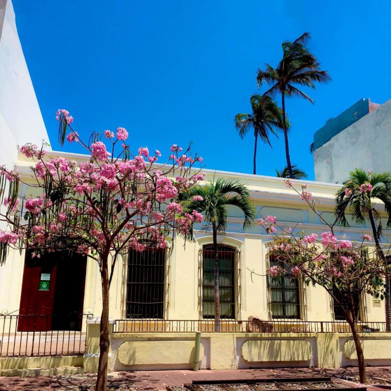 El arte de los tlacuilos llega al Museo de Mazatlán en su 36 aniversario