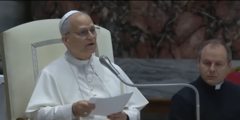 El Papa Leo llama a creadores digitales a tejer redes de encuentro entre corazones