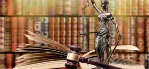 ¡Por fin! El Amparo deja de ser solo para ricos y abogados, ahora cualquiera podrá defenderse desde su celular