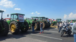 Gobierno y productores acuerdan subsidio de 950 pesos por tonelada de maíz