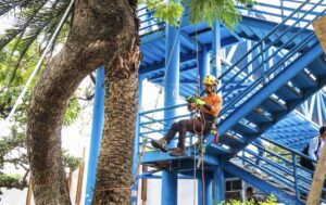 Cuernavaca convierte la Glorieta de la Luna en un espacio público sostenible