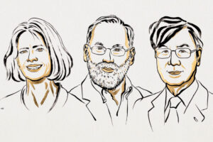 Tres científicos reciben Nobel de Medicina 2025 por revelar cómo el cuerpo evita atacarse a sí mismo