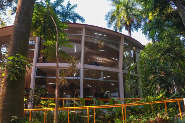 Cuernavaca impulsa obras públicas con inversión histórica