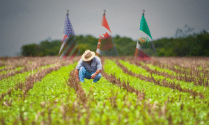 Empresarios de EU piden mantener vigente el T-MEC rumbo a su revisión en 2026