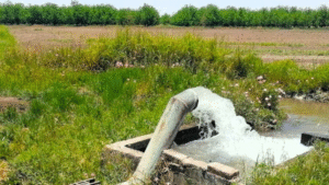 Gobierno federal publica la nueva Ley General de Aguas