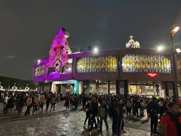 Peregrinación a la Basílica reúne a 9 millones de visitantes