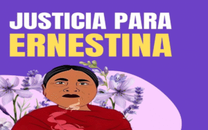 Corte IDH declara a México responsable por violación, tortura y muerte de Ernestina Ascencio