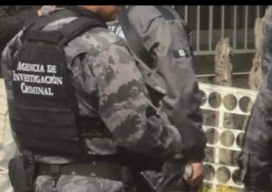 Detención de exfuncionario federal por caso Álvarez Puga y lavado millonario