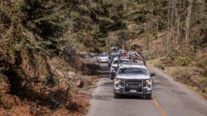 GN refuerza lucha contra la tala clandestina