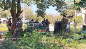 Explosión en ducto de Pemex en Oaxaca deja tres muertos y cuatro heridos