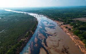 Derrame de petróleo continúa afectando costas de Veracruz