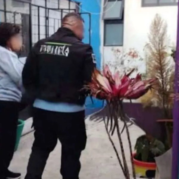 Hallan sin vida a estudiante de la UAEMex en departamento de Toluca