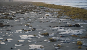 Derrame de hidrocarburos impacta más de 630 km de litoral