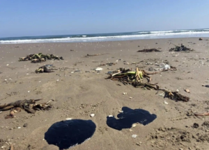 Derrame en Golfo de México ya es investigado como delito penal: Sheinbaum