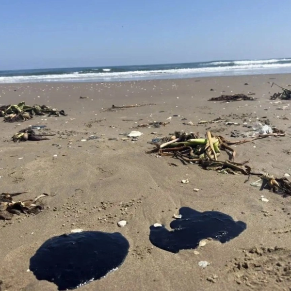 Derrame en Golfo de México ya es investigado como delito penal: Sheinbaum