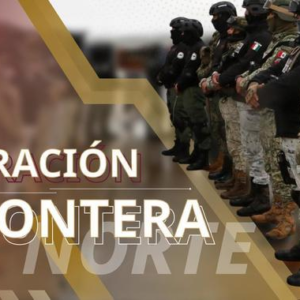 Operación Frontera Norte asegura drogas, armas y laboratorios en varios estados