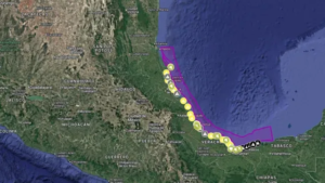 Derrame de hidrocarburo afecta 933 km de costas en el Golfo de México