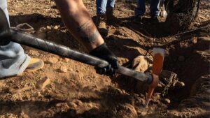 Hallan más de mil restos óseos en Tláhuac