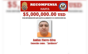 Detienen en Nayarit a “El Jardinero”, presunto integrante del CJNG