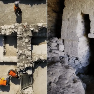 Descubren ciudad maya monumental “El Jefeciño” en Quintana Roo