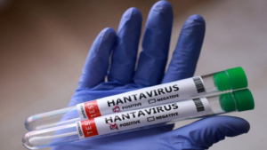 Reino Unido confirma dos casos de hantavirus