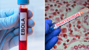 Ébola y hantavirus mantienen en alerta sanitaria mundial
