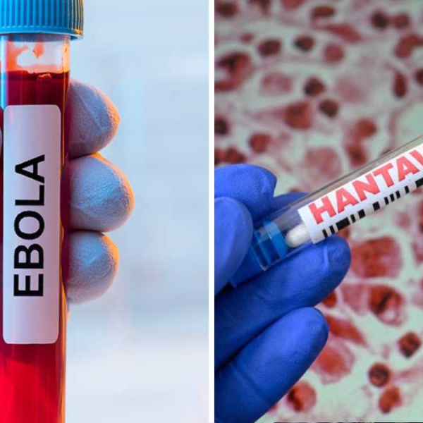 Ébola y hantavirus mantienen en alerta sanitaria mundial