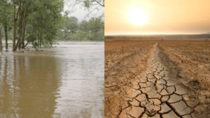 OMM advierte posible llegada de El Niño con impacto global en temperaturas y lluvias