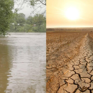 OMM advierte posible llegada de El Niño con impacto global en temperaturas y lluvias
