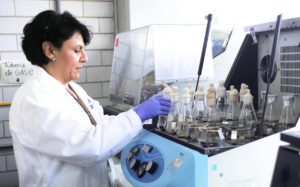 Enfermedades raras afectan a cerca de 10 millones de mexicanos
